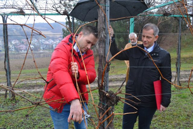 Foto: S. Šušnjević