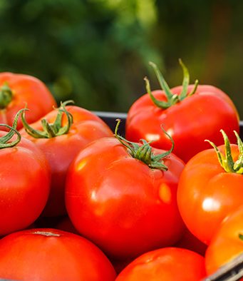 POVRTARSKI DANI I DIVANI (2): Kvalitetne plodove valja kvalitetno i sačuvati