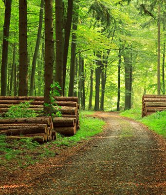 Bez pet pokrajinskih konkursa za poljoprivredu