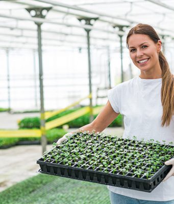 Test klijavosti u sopstvenoj „laboratoriji“