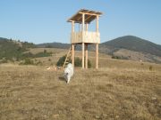 Lovišta na Zlataru prešla u ruke privatnika