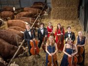 Koncerti klasične muzike za krave