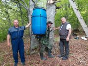 Medved ukrao kukuruz namenjen divljim svinjama