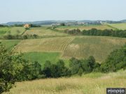 Leskovac raskida ugovor s arapskom firmom Emirates power