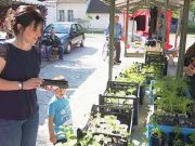 Đaci iz Nakova osnovali zadrugu i posvetili se uzgoju bilja