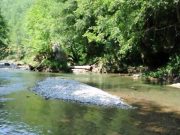 Ukinuta vanredna situacija u Arilju, stanje na Rzavu stabilno