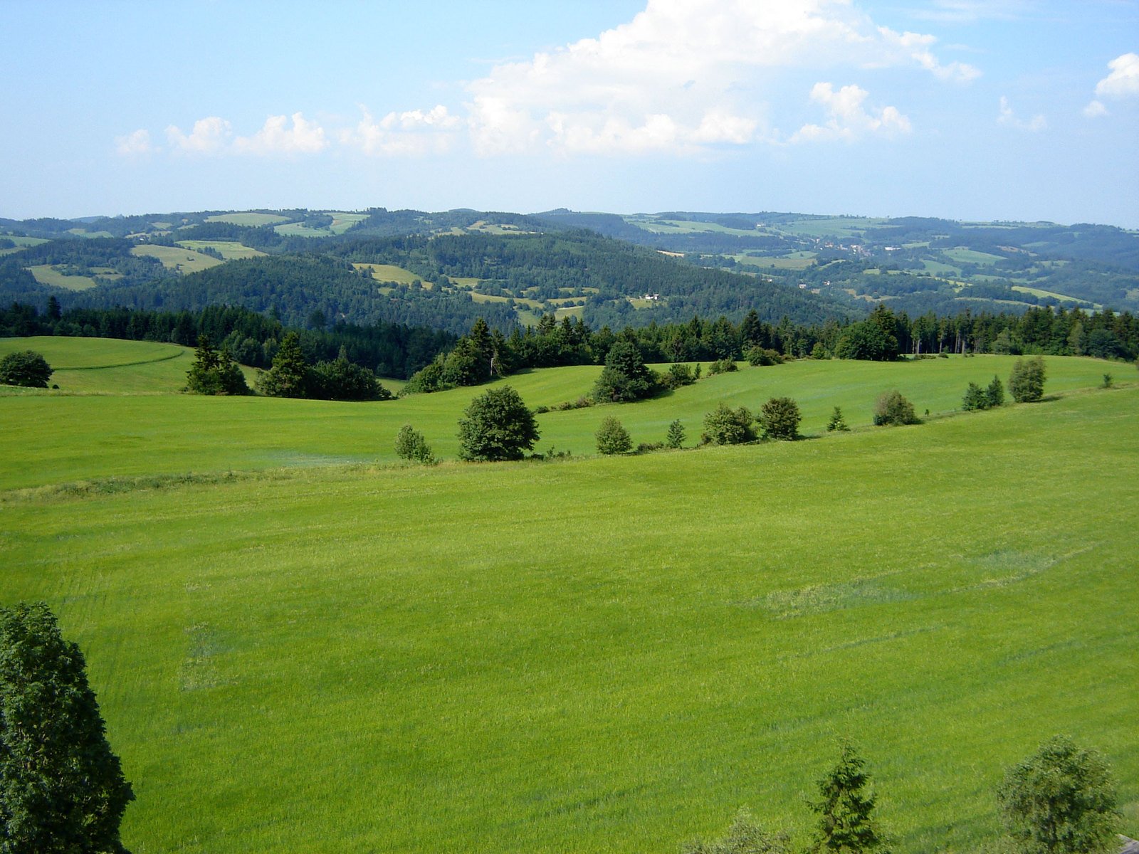 Pašnjaku treba sanitarno košenje - Dobro Jutro