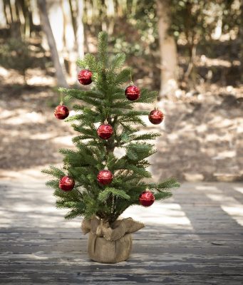 Učinite dobro delo za planetu – odaberite jelku sa busenom!