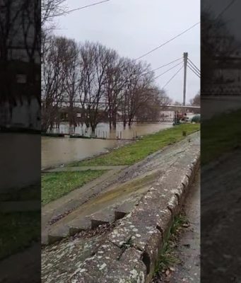 Reka Sava u Sremskoj Mitrovici