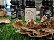 Vege festival u Beogradu