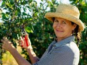 Proređivanje cvetova i plodova