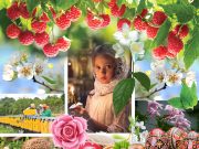 Novi broj „Dobrog jutra“ za pretplatnike