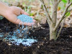 Prolećni azot zlata vredan