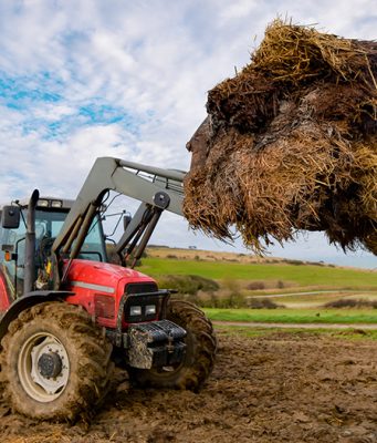 Zašto su bitni stajnjak i kompost za asimilaciju fosfora u zemljištu