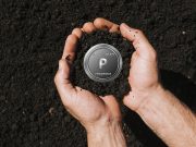 Čime je uslovljena bioraspoloživost fosfora u zemljištu