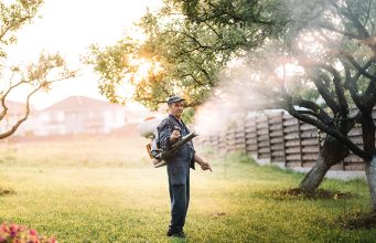 Plavo „kupanje“ voća