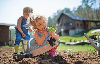 Prednosti jesenje sadnje