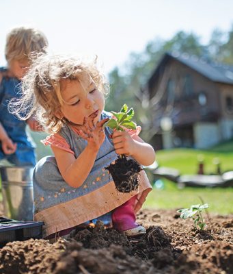 Prednosti jesenje sadnje