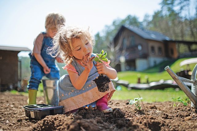 Small children working outdoors in garden, sustainable lifestyle concept.