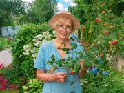 Ne ponovila se nikad ovakva sezona