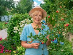 Ne ponovila se nikad ovakva sezona