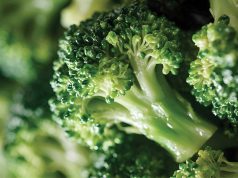 Brokoli – hrana za dug i zdrav život
