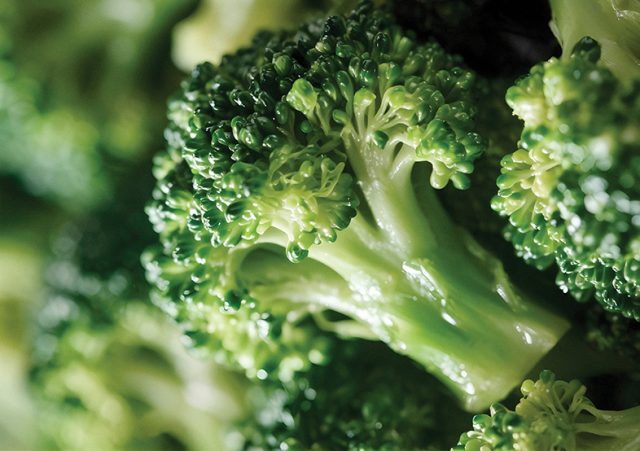 Brokoli 643 copy