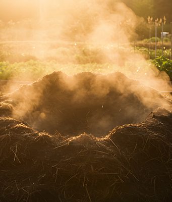 Prirodno, najekonomičnije, za okolinu najprihvatljivije đubrivo