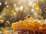 NOVEMBAR U PČELINJAKU