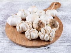 Povratak domaćem belom luku