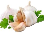 Sadite beli luk? Dobro je znati da trpi i do – 25 stepeni