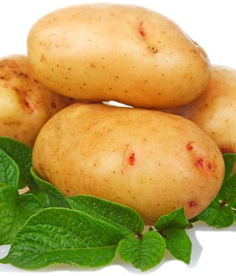 Krompir zahteva osunčano mesto i kiselije zemljište za sadnju