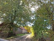 Dnevnik Beograđanke na selu – prinove