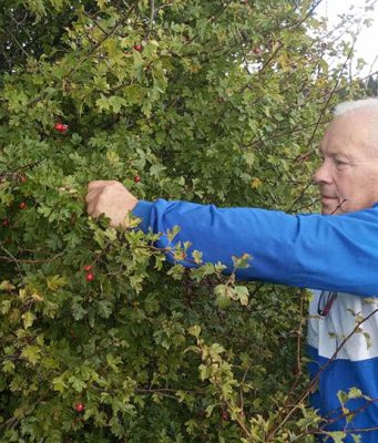 Voćnu turšiju Milorad pravi od četrnaest vrsti divljeg voća
