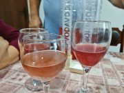 Obnovio gazdinstvo, uzgaja stare sorte grožđa i pravi vino kominjak