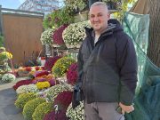 Dan i noć voli sneg, hrizanteme sunce