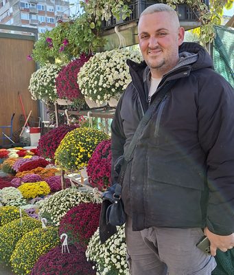 Dan i noć voli sneg, hrizanteme sunce