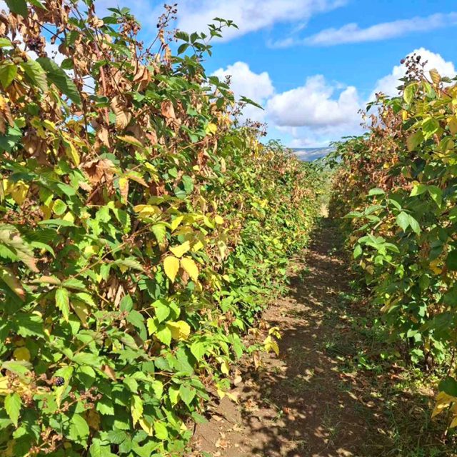 579082770_826207660006356_4271498377969455616_n