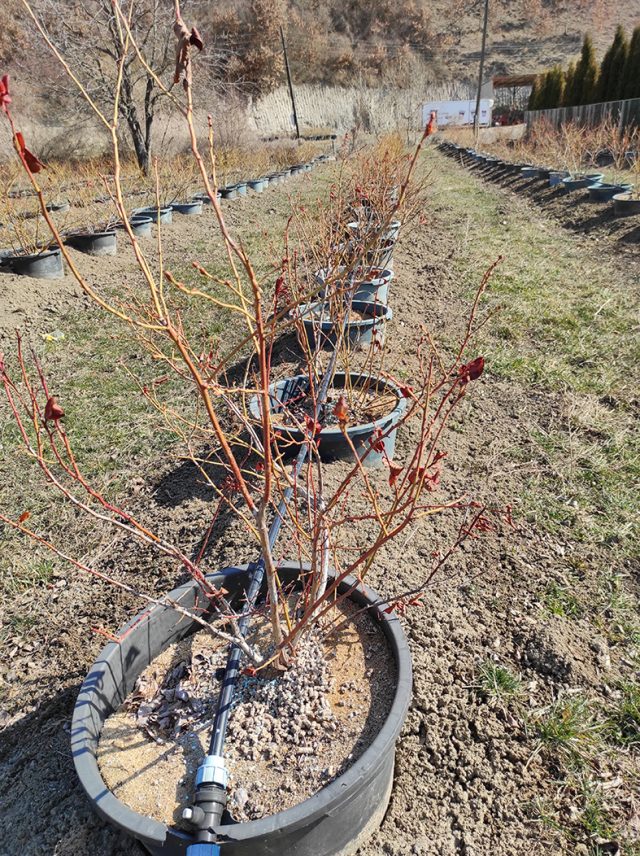 647ce066-475c-42b7-b74e-07d7e705fba2