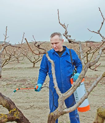 Vreme je za jesenje plavo prskanje u jabučnjacima