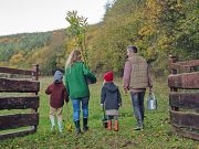 Idealno vreme za sadnju voća