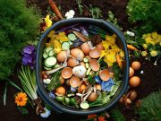 Superđubrivo od biljnih ostataka