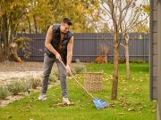 NOVEMBAR U VOĆNJAKU