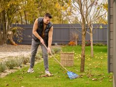 NOVEMBAR U VOĆNJAKU