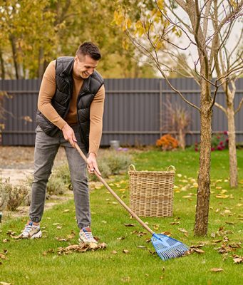 NOVEMBAR U VOĆNJAKU