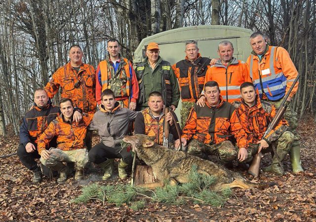 vranje- vuk kapitalac